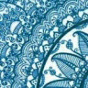 Meet your Posher, Vidnia